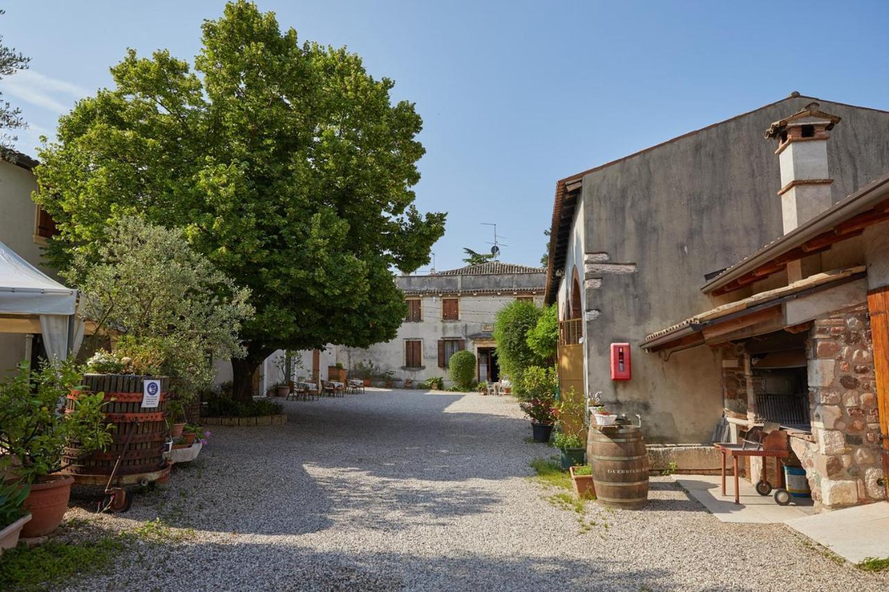 Agriturismo Della Pieve Bardolino Ngoại thất bức ảnh